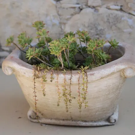 Evanthia's Stone House Koilani