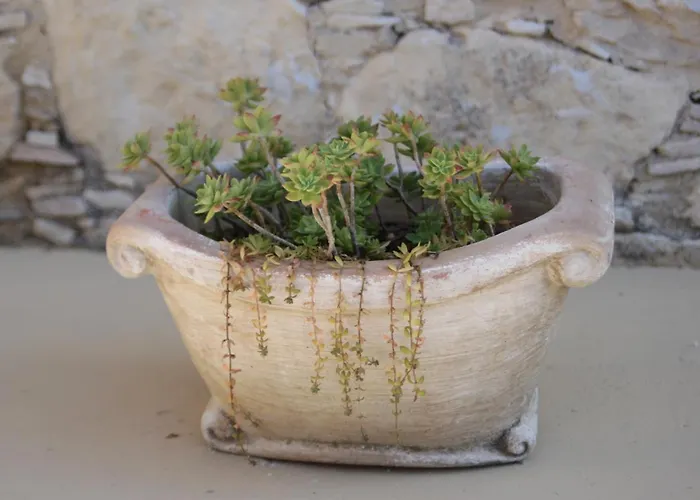 Evanthia's Stone House Koilani